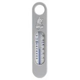 Bath thermometer Pooh Bear Grey